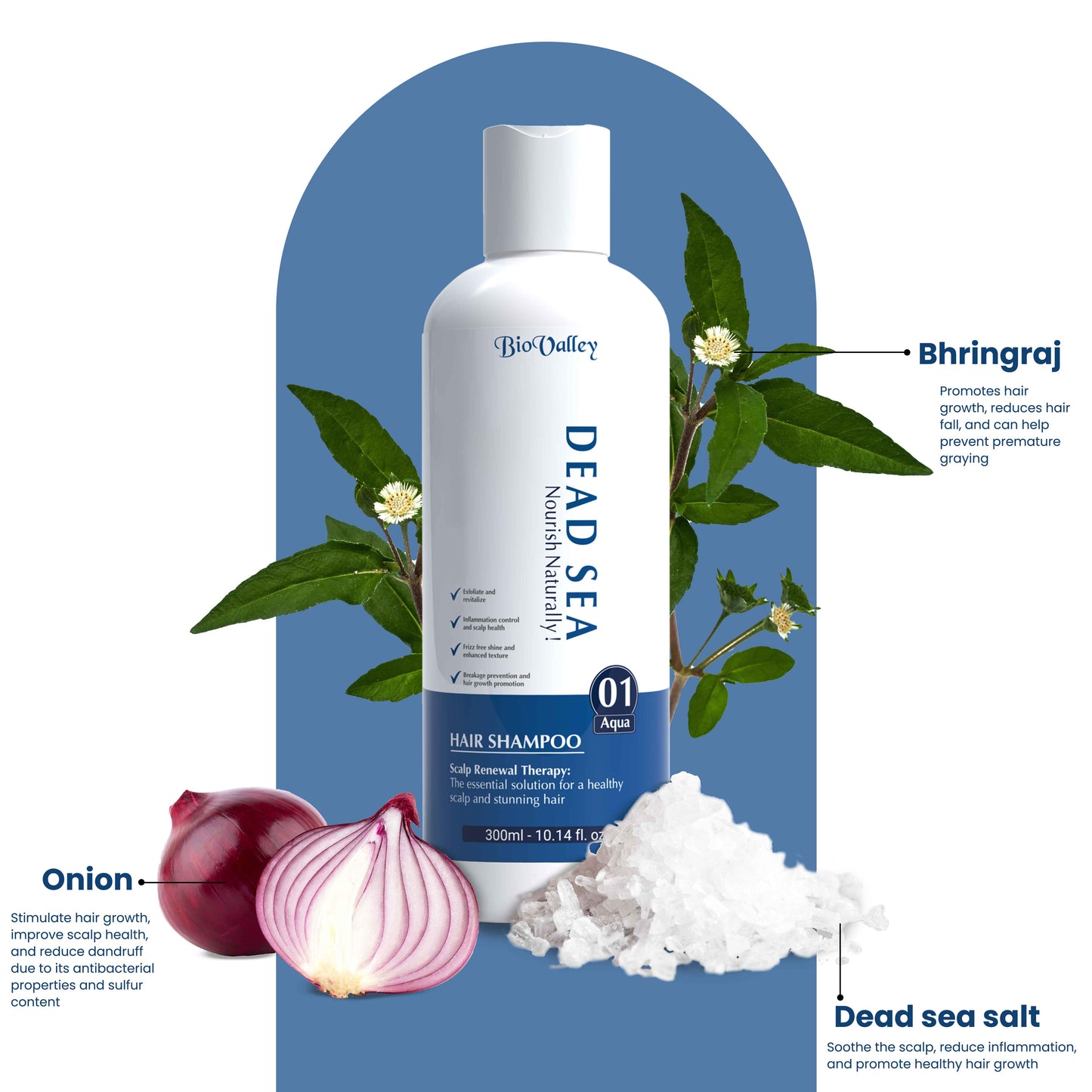 Bio-valley dead sea shampoo with key ingredients